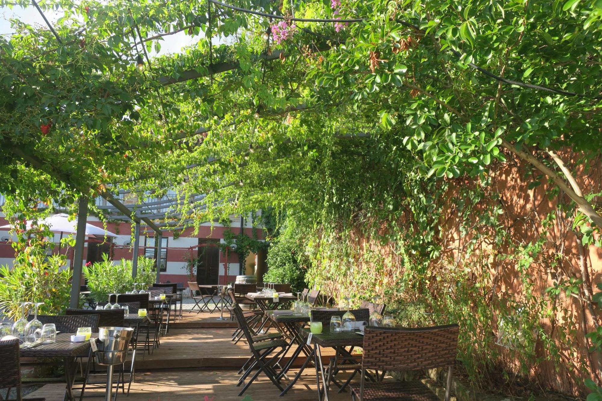 Foresteria Ristorante Conti Roero Monticello d'Alba Εξωτερικό φωτογραφία